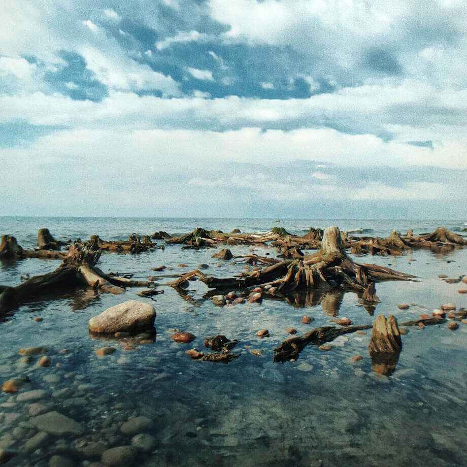 Куршская коса, водный пейзаж